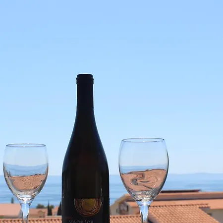 Appartement Danica Promajna